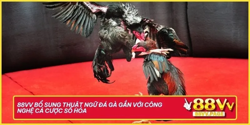 88vv Tổng Hợp Thuật Ngữ Đá Gà Để Bỏ Túi "Cực Chất" 3 88vv còn bổ sung thêm loạt thuật ngữ đá gà gắn với công nghệ cá cược số hóa